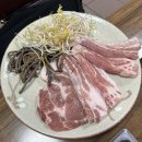 동그리생생 이미지