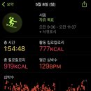 코코넛서프