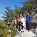 우강초교 이미지