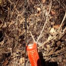 봉곡북로-6 이미지