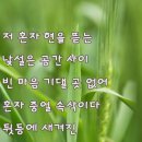 달팽이 - 허민홍 시인 이미지