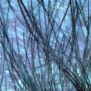 두카메디컬센터 이미지