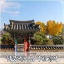 열녀김씨정려 | 대구 숨겨진 은행나무 명소 현풍곽씨십이정려각 주차 답사 후기