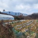 포전리마을회관 이미지