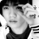 규종 Daum카페