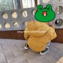 야옹수산 이미지
