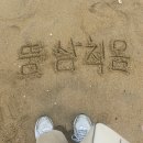 필 리조트 펜션 | 삼척 여행 코스 추천 ㅣ 바다뷰 쏠비치 숙소, 맛집, 추추파크 2박 3일 후기