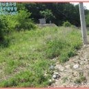 텃골천 이미지