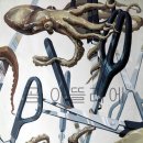 아뜰리에미술학원 - 강서구 화곡로66길 153 | 아뜰리에미술학원