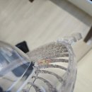 나우에어클린