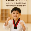 야무진 태권도 이미지