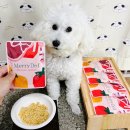 메리도프 | 눈물 많은 노견 강아지 화식은 메리도프 영양식(보양식) 추천!