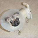 무지개다리 이미지