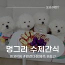 원창단미사료 | 강아지수제간식 '멍그리' 15살 노령견 간식으로도 좋을거같아요!