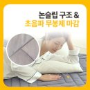 생활의료기 | 한일의료기 그래핀 탄소매트 후기 + 장단점 총정리
