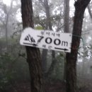 당산농원 티스토리
