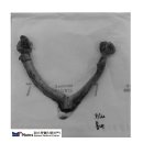 봄내동물병원 이미지