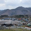 동향면행정복지센터 이미지