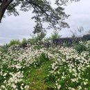 남산농원 이미지