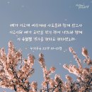 오늘의 성경 한 구절 - 하나님의교회 이미지