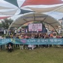 강진군문화관광재단 | 김성진 기자/강진군문화관광재단, SNS 운영자 초청 팸투어 성료