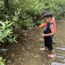 깊이울마을캠핑장 이미지