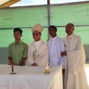 올리베또B 이미지