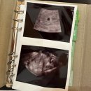 하율농장 | 안뇽 말콩(~27w)