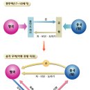 세계사 이미지