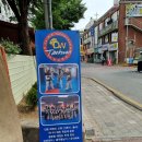 다윈태권도 이미지