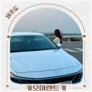 대한렌트카 | 제주도 렌트카 가격비교 제주 렌트카 할인 후기