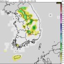 중원발전소 | 四字成語 총정리 <ㄴ> 89 내륙빙하~내리동제