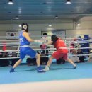 광주화랑권투 이미지