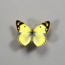 산청유치원 이미지