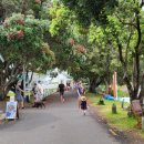 해변 낚시마트 이미지