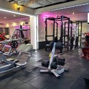 더 바디 피트니스 이미지