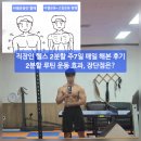 직장인 헬스 2분할 주7일 루틴 후기, 운동 효과와 장단점 분석[매일운동 327일차]