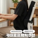 라인카이로프랙틱 | 의자 허리쿠션 추천 이유, 자세 잡아주는 발란스코드 카이로프랙틱쿠션 사용 후기