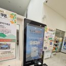 제주 렌트카 조이렌트카 내돈내산 이용후기