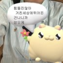 오사카] 3박 4일 오사카 나들이 첫째날 기록(스시사카바사시스난바/우메다치이카와랜드/하나다코/헵파이브)