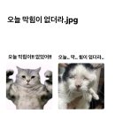 타이어우즈 | 밤에는 시원한 바람이 저를 간지럽히는데 이거는 가을인가요?