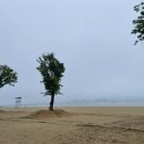 비치타운모텔 이미지