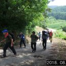 곡성농협 삼기주유소 이미지