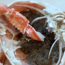 대포항 대게찜 | 속초 여행의 하이라이트! 푸짐함 끝판왕, 대포항대게 코스 제대로 맛본 후기요!