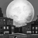 Joker Folie a Deux 이미지