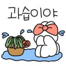 플렌케