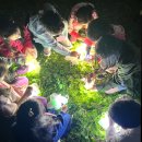 숲속어린이공원 | 시흥갯골생태공원 숲체험 후기: 어린이와 함께 가기 딱 좋은 자연 학습 장소