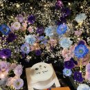 사림동312 | 창원꽃집 온스플라워 트렁크프로포즈