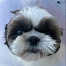 이한메디칼 이미지