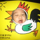 금자농장 이미지